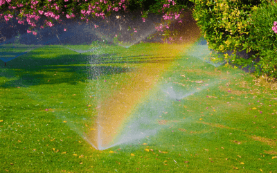 Tips for Watering Your Lawn the Right Way