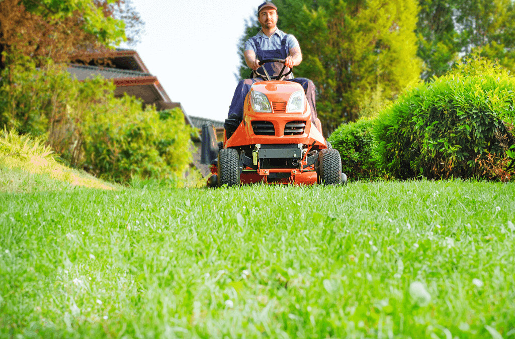 mowing tips for a healthy lawn
