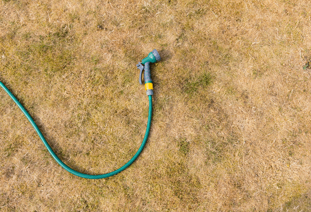 How To Water Your Lawn