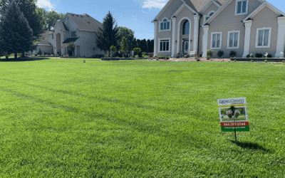 Early Spring Lawn Care To-Do List | ExperiGreen