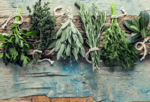 The Best Herbs to Grow at Home