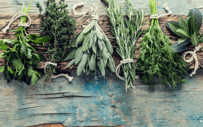The Best Herbs to Grow at Home