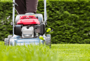 How Mower Height Affects Lawn Health