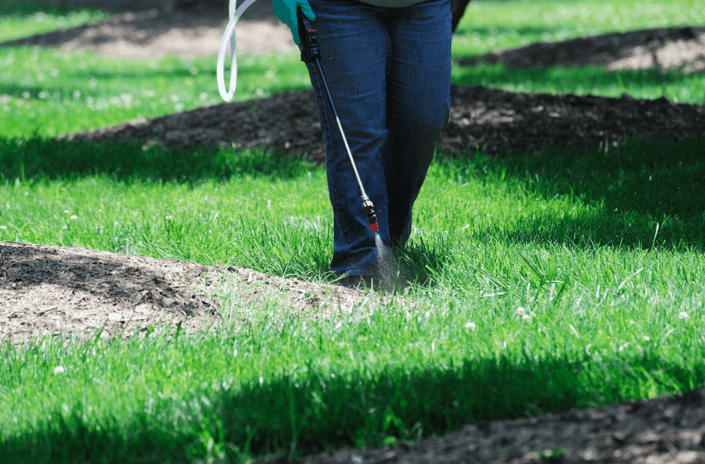 Weed Control for Your Lawn