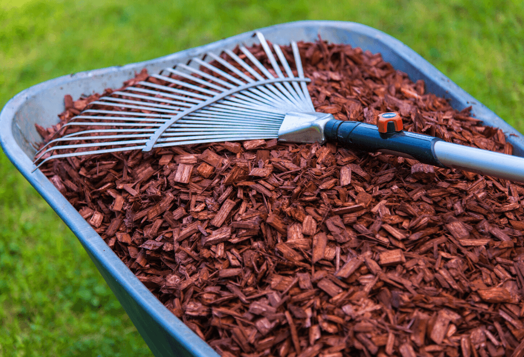 Read more about the article Mulch-What You Need To Know