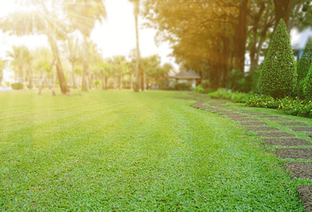 Read more about the article Repairing Summer Lawn Damage