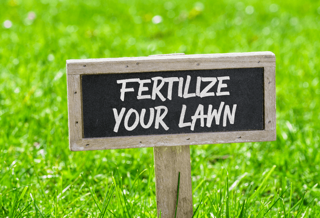 Read more about the article The Best Lawn Fertilizer