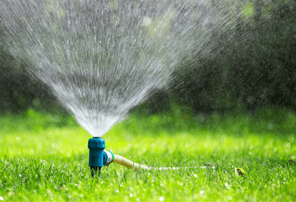 Don’t Stop Watering Your Lawn ExperiGreen