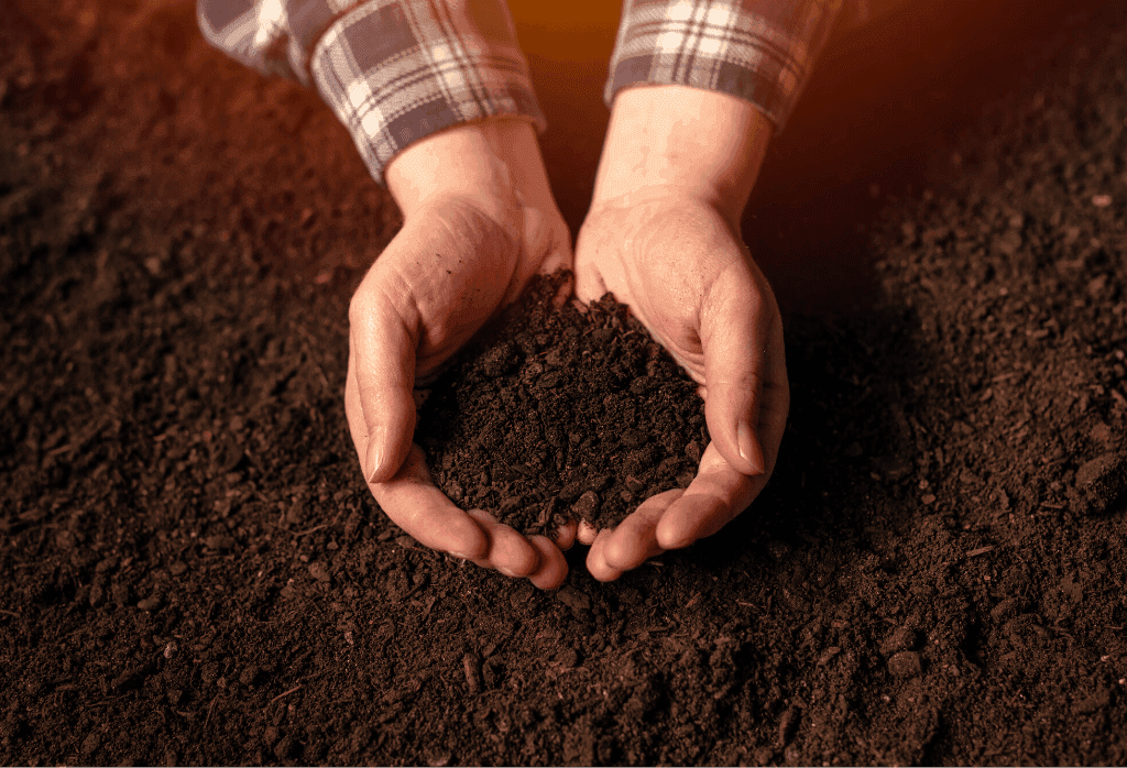 Why and How to Use Soil Amendments