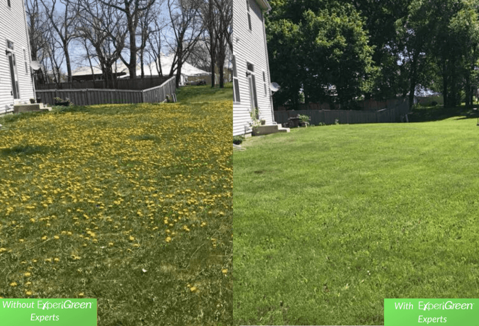 Affordable lawn care services experigreen