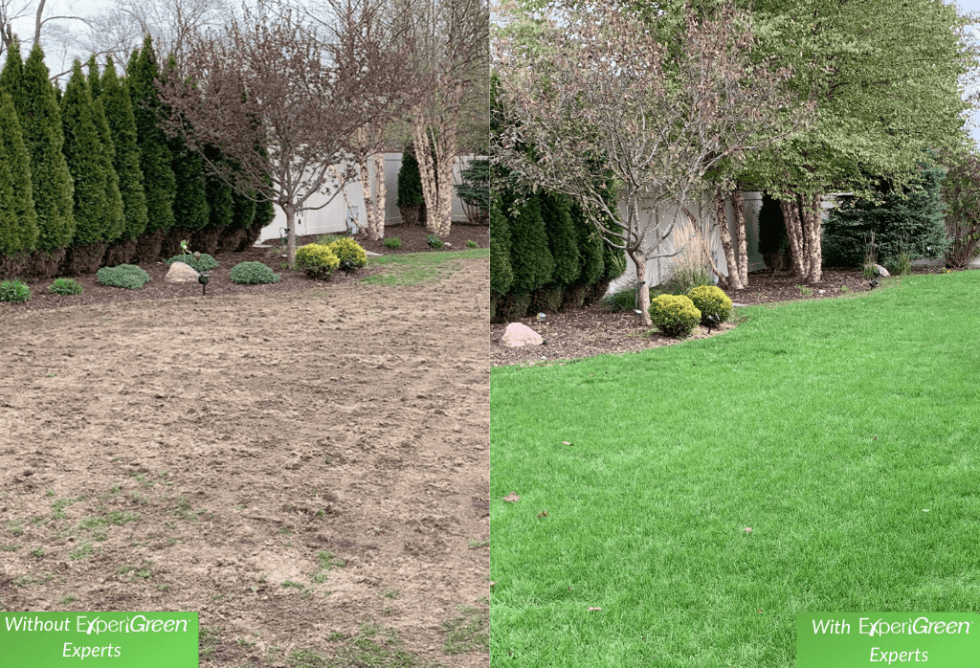 Affordable lawn care services experigreen