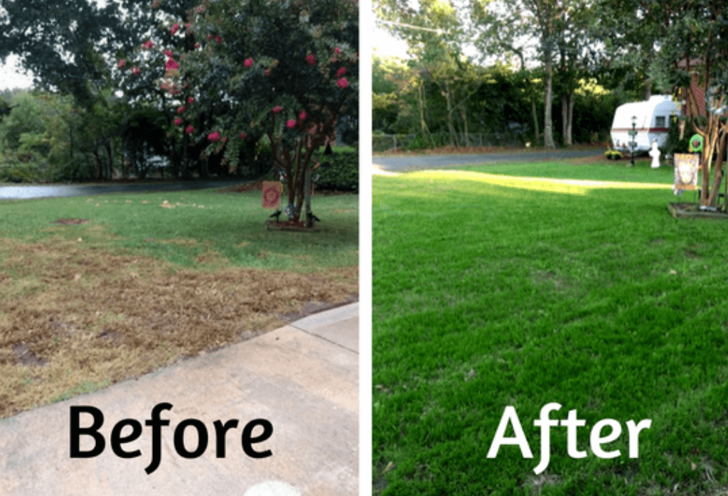 Detroit Lawn Before and After