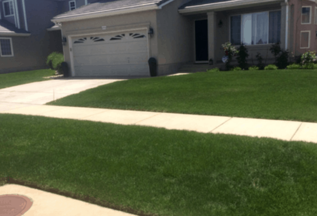 Indianapolis Lawn Care