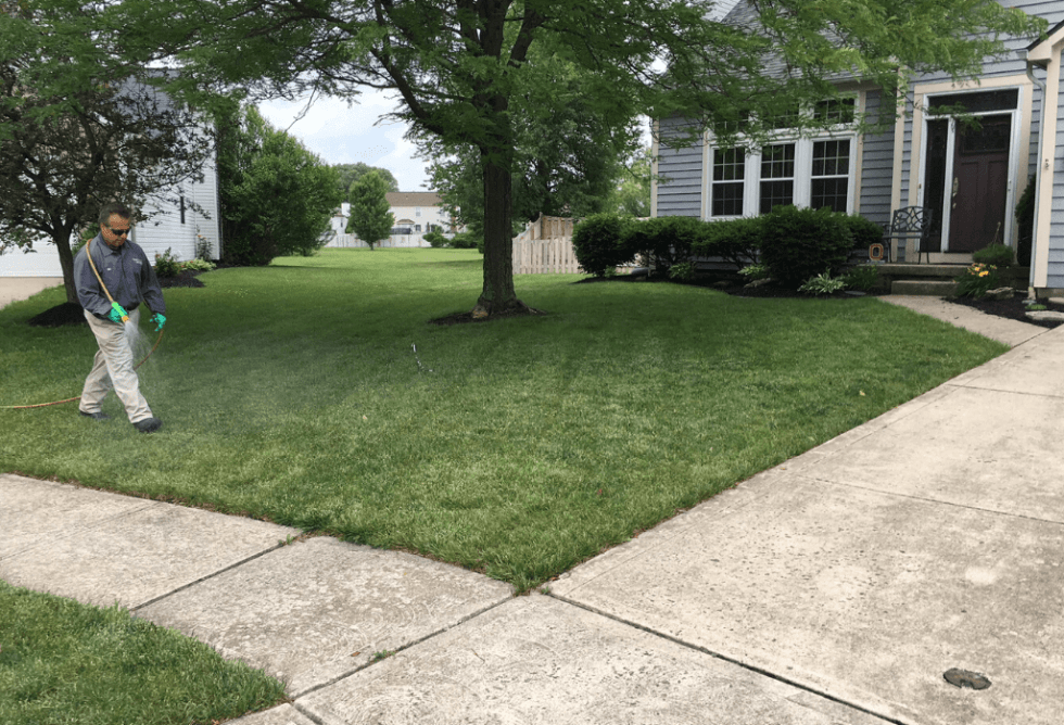 Lawn Care Columbus OH ExperiGreen