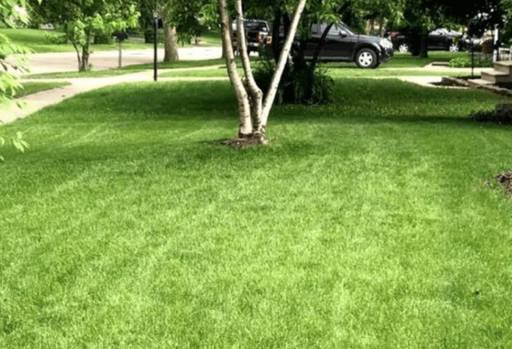 Lawn in Indianapolis