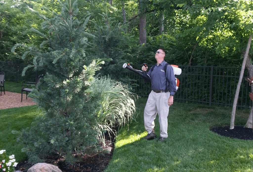 Pest Control Columbus