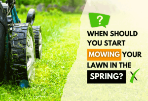When To Start Mowing in The Spring-Top Tips