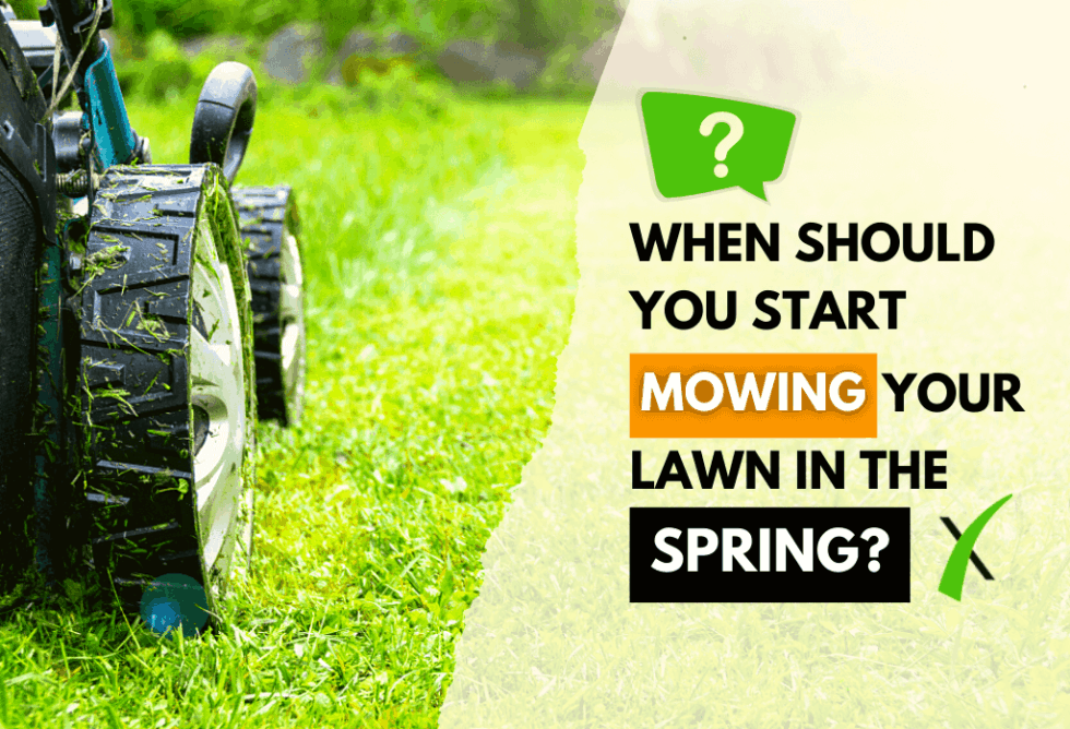 When to Start Mowing in Spring ExperiGreen