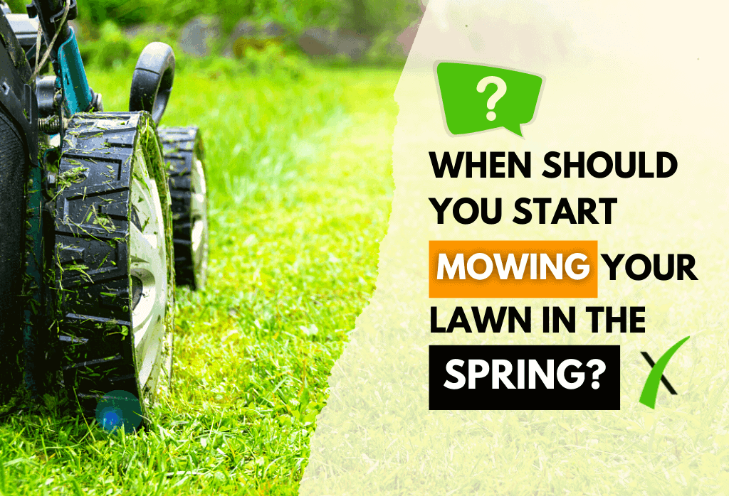 Read more about the article When to Start Mowing in Spring
