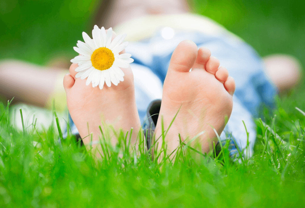 Kentucky Bluegrass Vs Turf Type Tall Fescue ExperiGreen kentucky-bluegrass-vs-turf-type-tall-fescue-experigreen