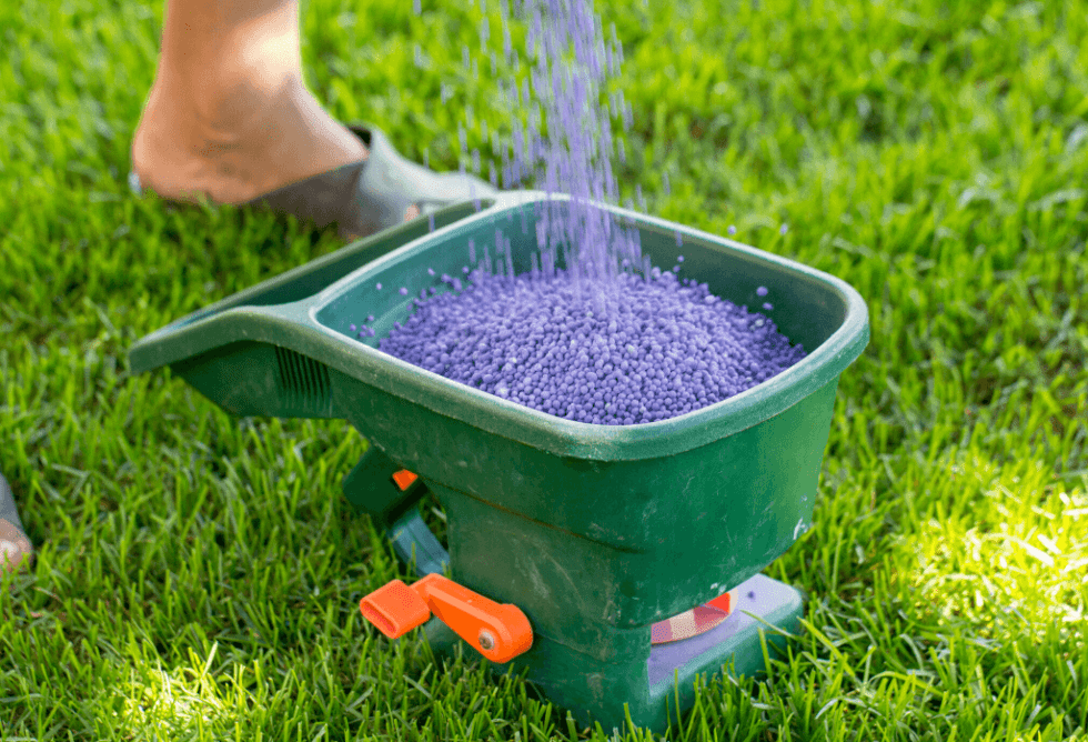 Which Fertilizer Is Best For My Lawn? | ExperiGreen