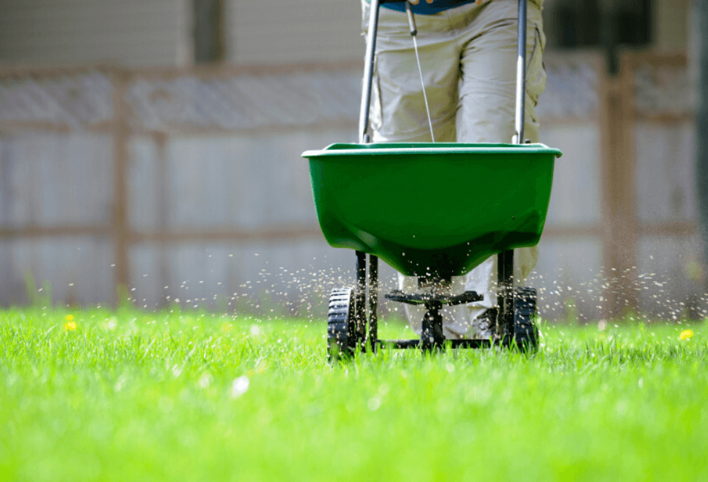 Types of Lawn Fertilizer