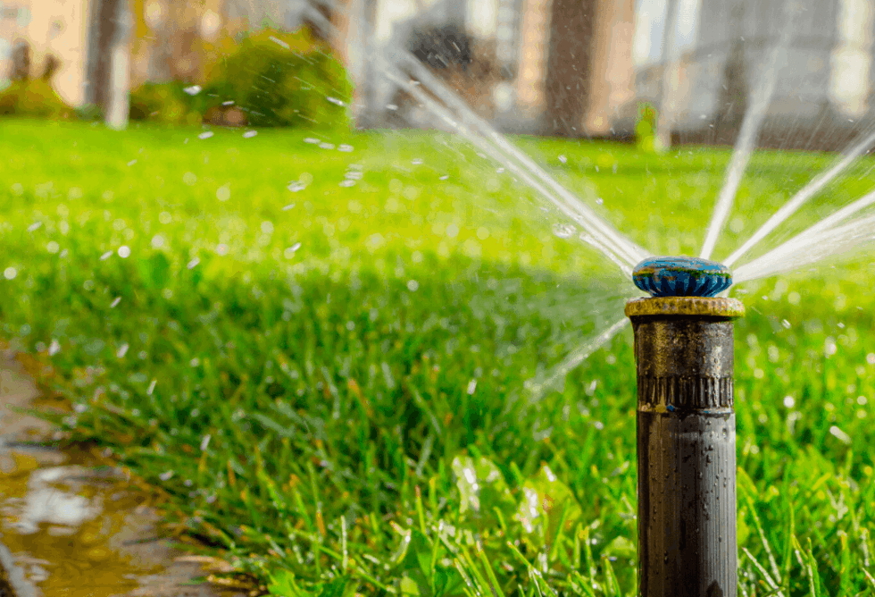 Watering Lawns and Sprinklers ExperiGreen