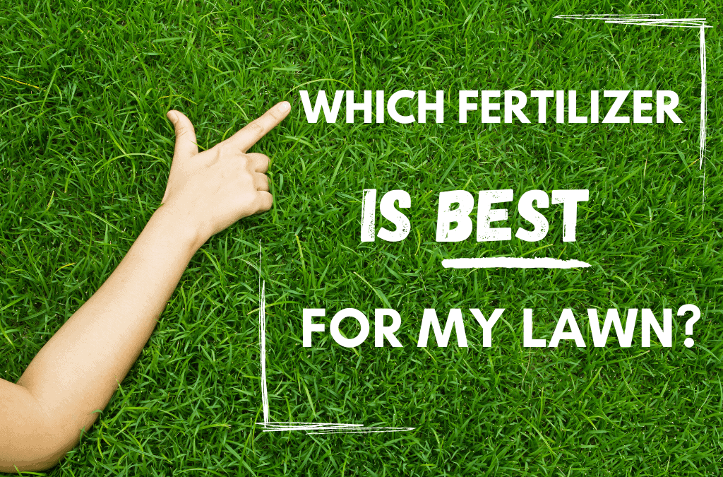 Which Fertilizer Is Best For My Lawn