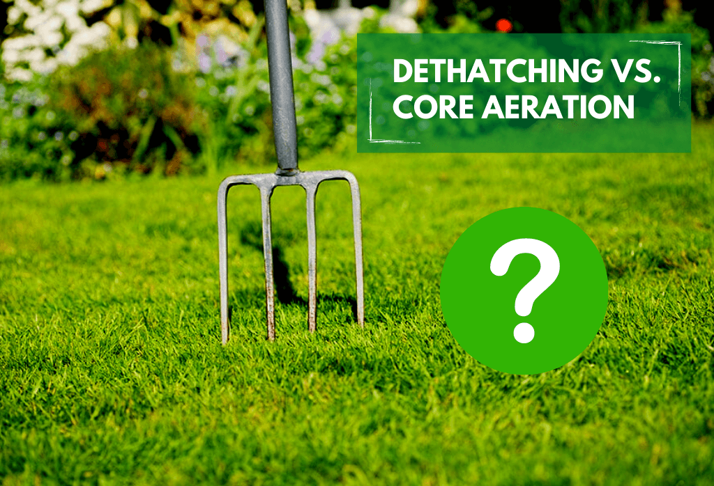 Read more about the article Dethatching vs. Core Aeration