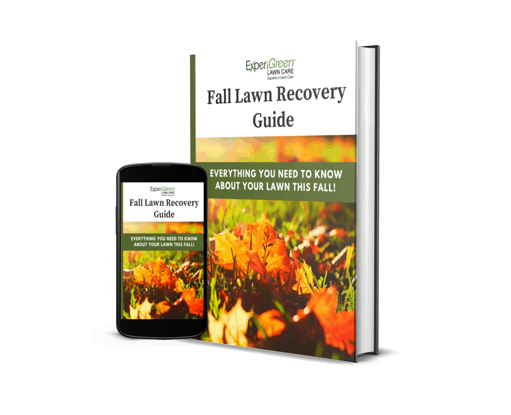 Fall Lawn Recovery Guide Website Free EBook Fall Lawn Recovery Guide Website Free EBook