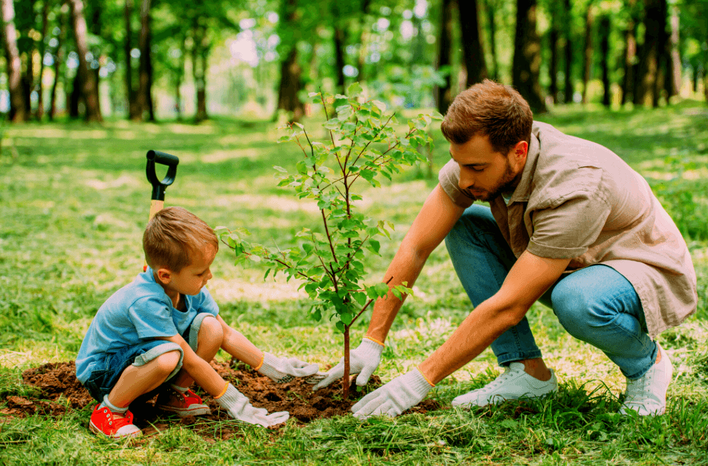 Fall Tree Shrub Planting Tips ExperiGreen