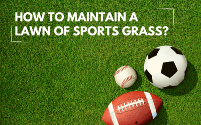 How to build a ‘sports grass’ lawn