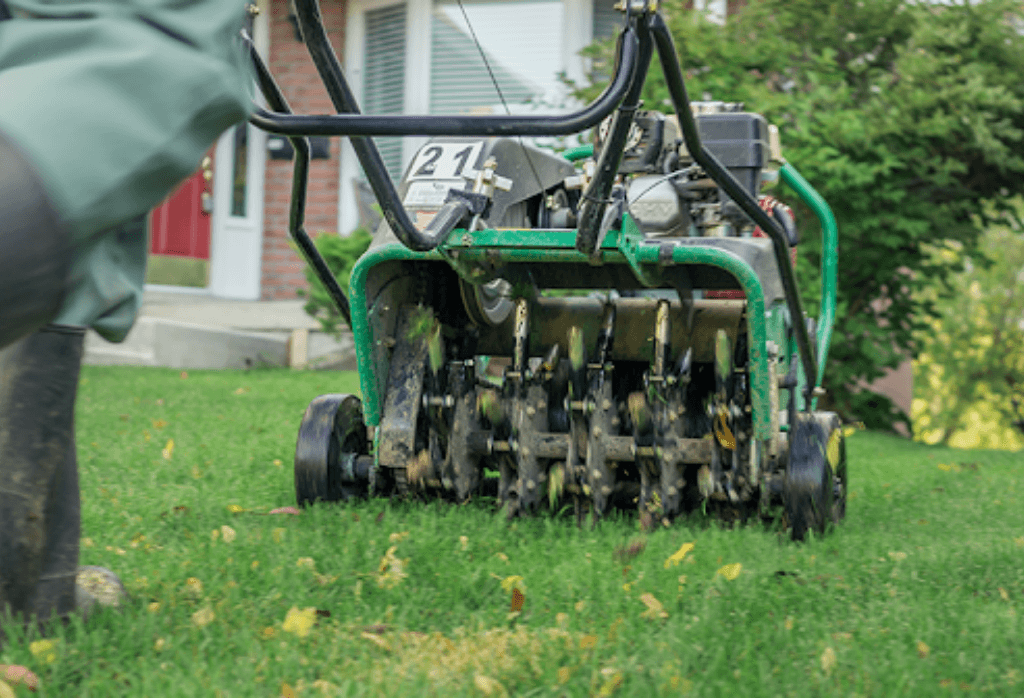 Lawn Aeration