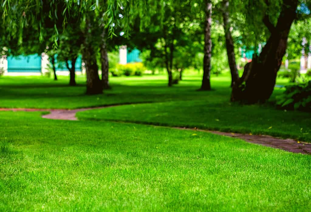 Lawn Care Westerville Ohio Experigreen, Landscaping Westerville Ohio
