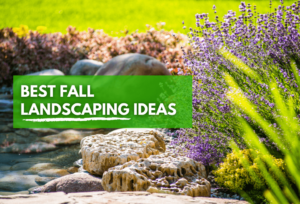 Fall Landscaping Ideas
