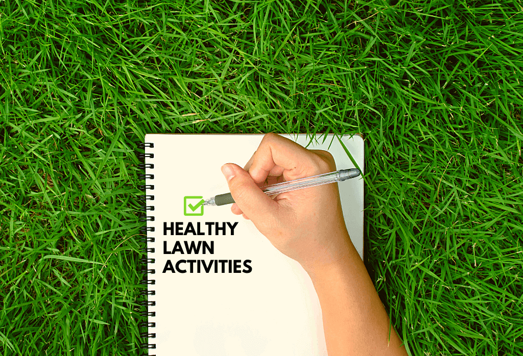 Healthy Lawn Activities