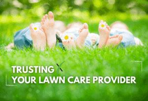 Trusting Your Lawn Care Provider