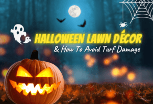 Halloween Lawn Décor By ExperiGreen