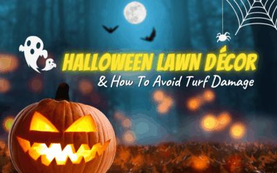 Halloween Lawn Décor By ExperiGreen