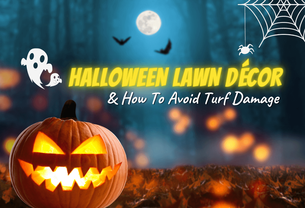 Read more about the article Halloween Lawn Décor