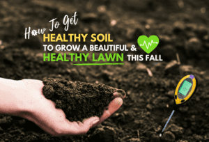 Healthy Soils for Healthy Lawns