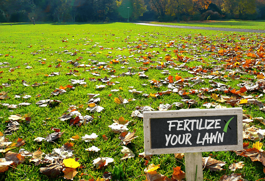 Lawn Fertilizer - Fall Vs Winterizer Fertilizer