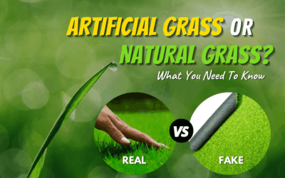Natural Grass Vs Artificial Turf