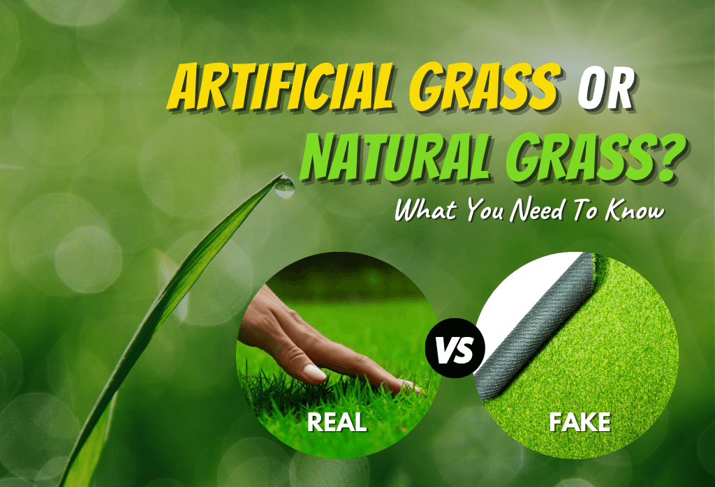 Read more about the article Natural Grass Vs Artificial Turf