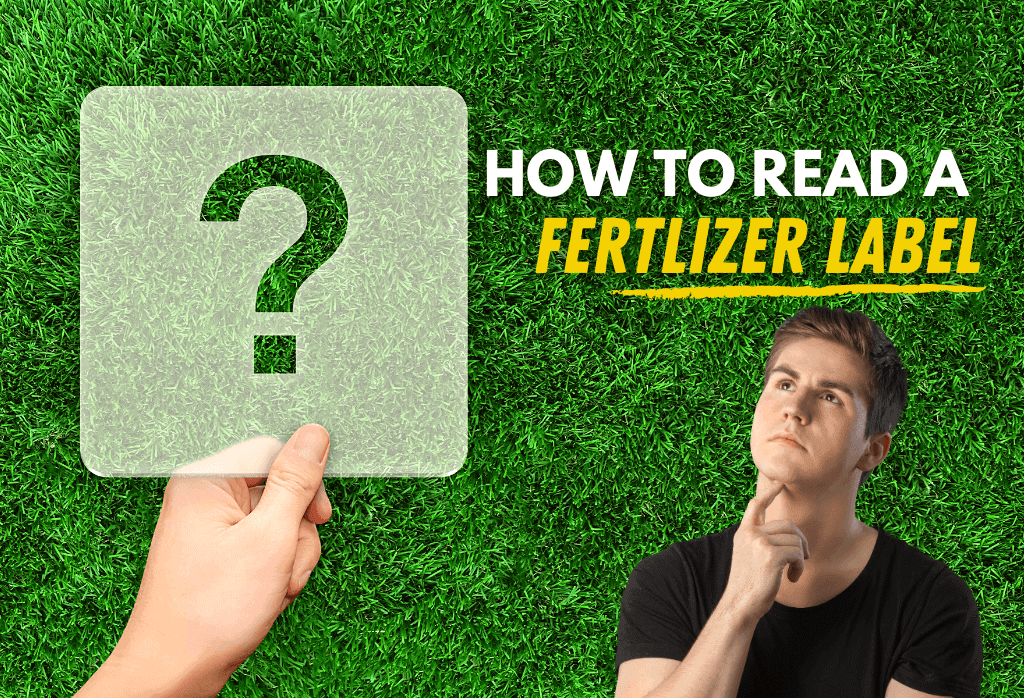 Read more about the article Understanding The Fertilizer Label