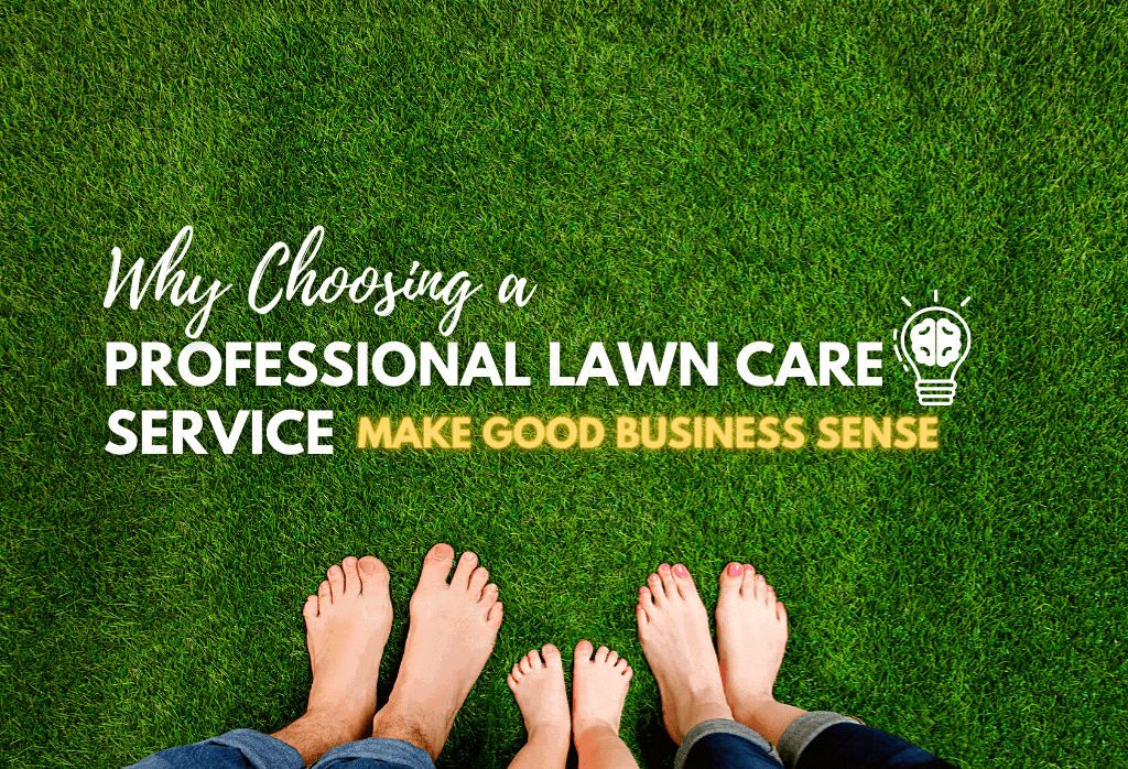Why Choosing A Professional Lawn Care Service Make Sense