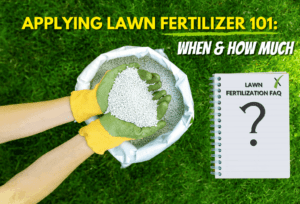 How Much Fertilizer Does My Lawn Need