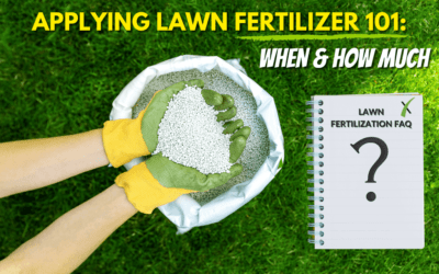 How Much Fertilizer Does My Lawn Need