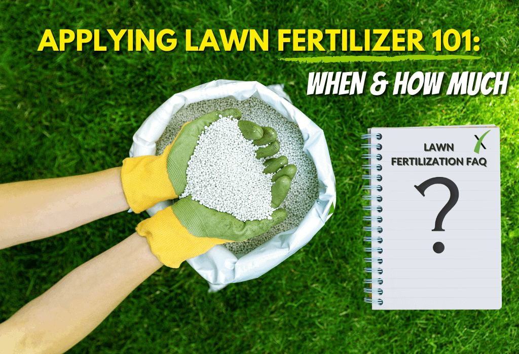Read more about the article How Much Fertilizer Does My Lawn Need?
