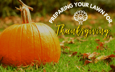 Preparing Your Lawn for Thanksgiving